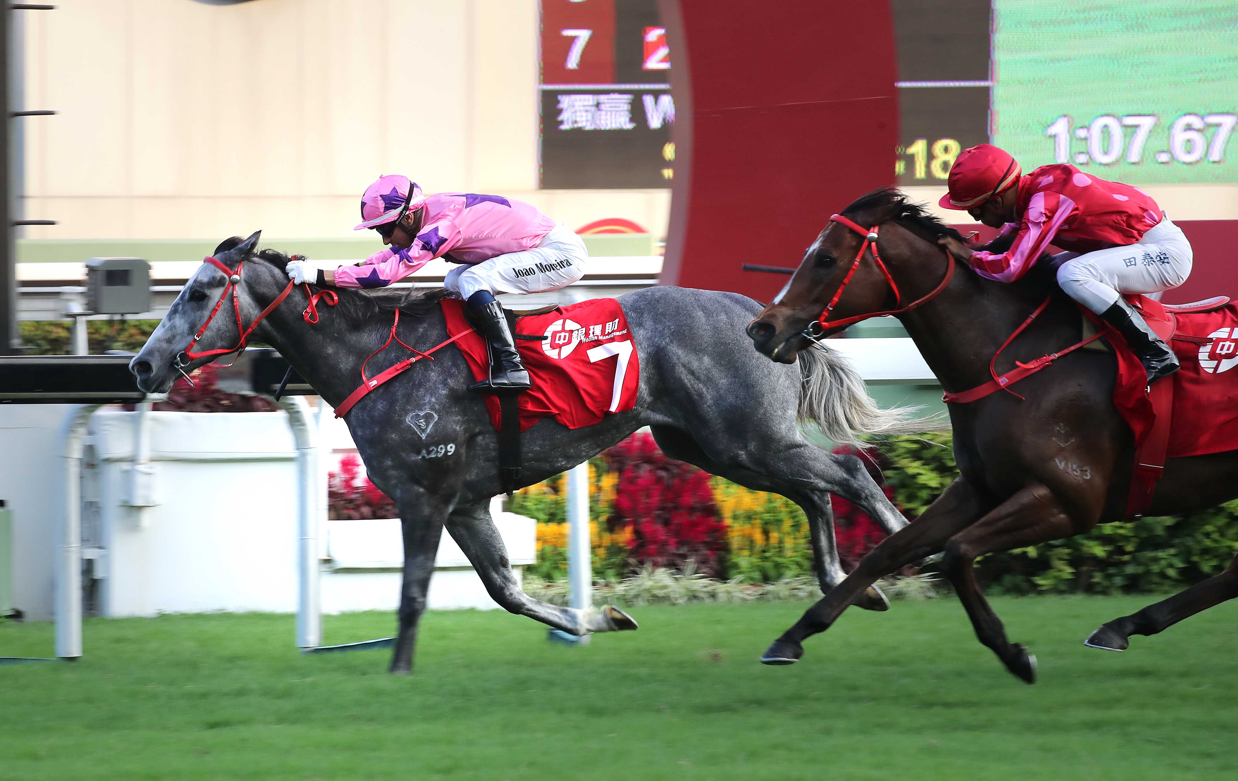 hot king prawn and mr stunning meet for the third time this