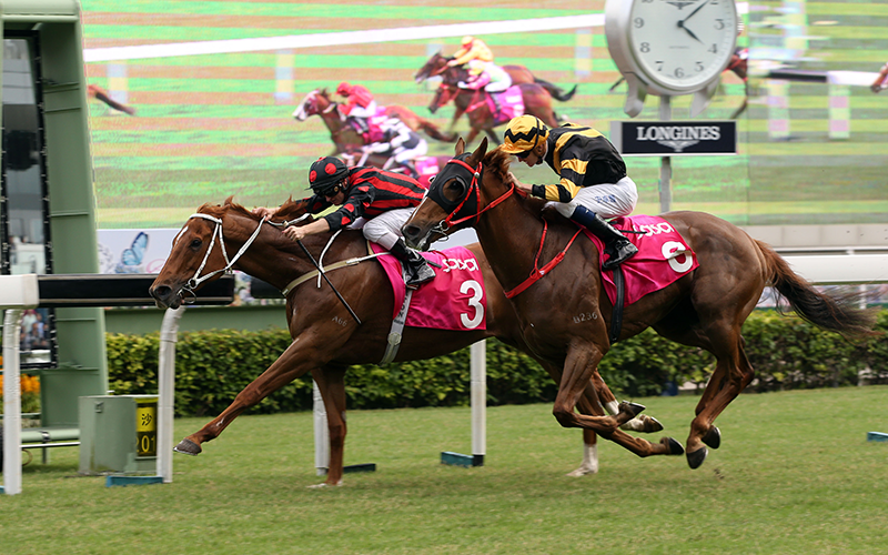 Home - LONGINES Hong Kong International Races 2018 - The Hong Kong Jockey Club