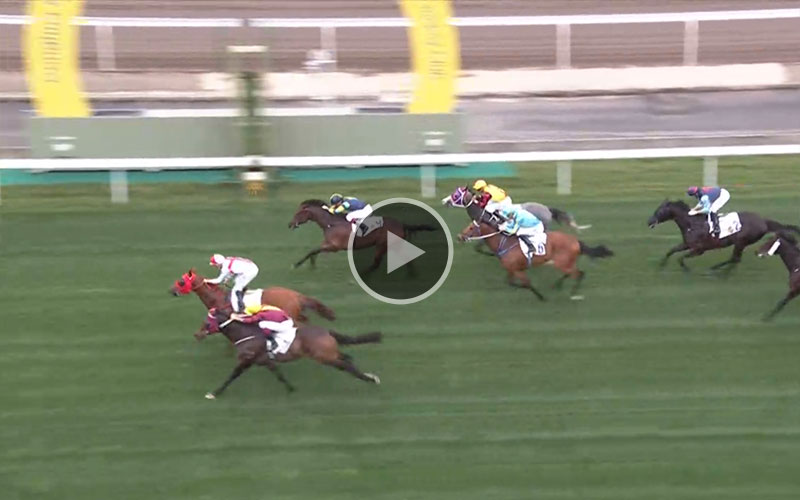 Race Info Conghua Racecourse Exhibition Raceday The Hong Kong Jockey Club