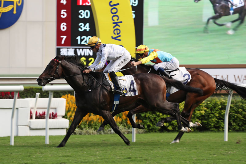 The Francis Lui-trained Golden Sixty (No. 4), ridden by Vincent Ho, takes the G2 Oriental Watch Sha Tin Trophy (1600m) today.