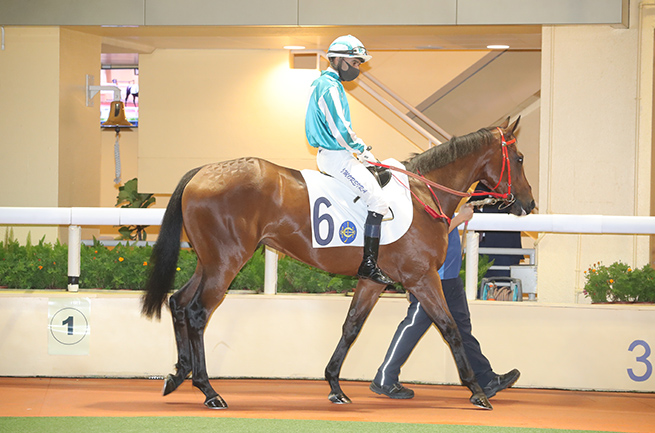 歷屆新馬獎金得主 香港國際馬匹拍賣會21 香港賽馬會
