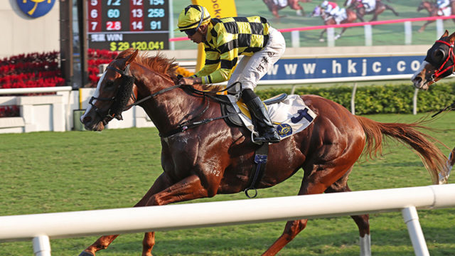 Stronger will acquit himself against class opposition on Sunday.