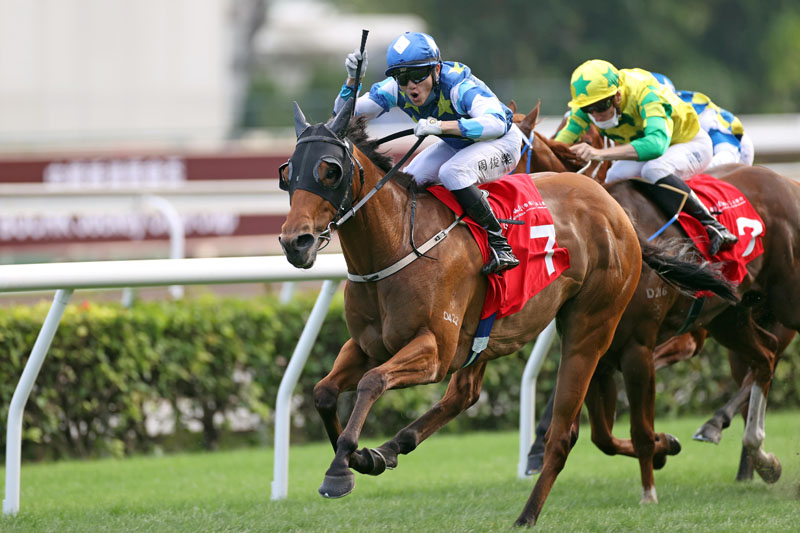 The Francis Lui-trained Lucky Patch, with Jerry Chau aboard, takes the G2 BOCHK Private Banking Jockey Club Sprint (1200m) at Sha Tin Racecourse.