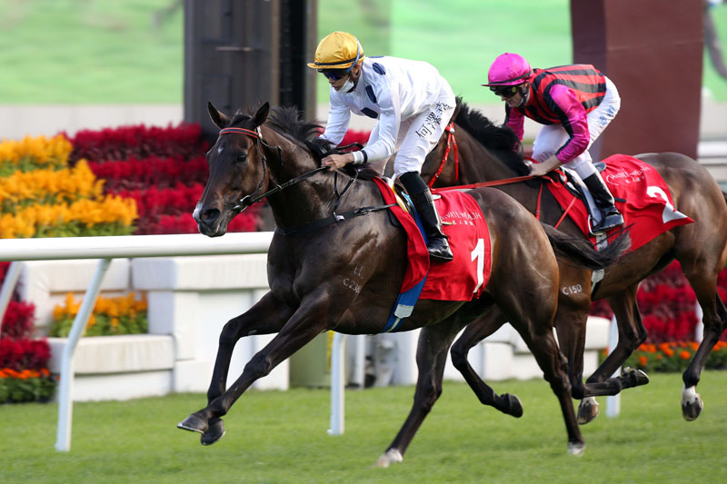 The Francis Lui-trained Golden Sixty, with Vincent Ho on board, takes the G2 BOCHK Private Wealth Jockey Club Mile (1600m) at Sha Tin Racecourse.