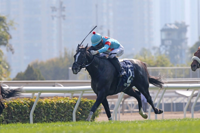 The Tomohito Ozeki-trained Glory Vase with Joao Moreira in the saddle wins the G1 LONGINES Hong Kong Vase (2400m) at Sha Tin Racecourse.