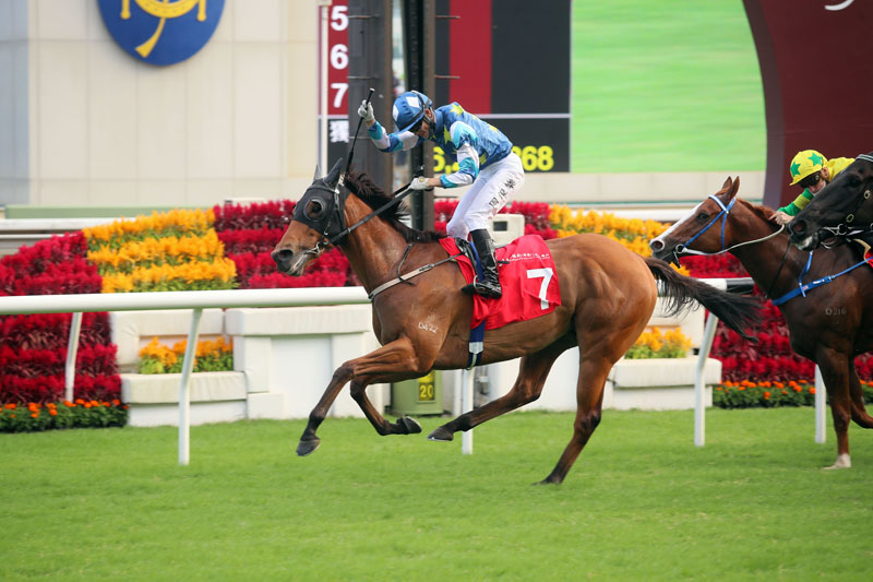 The Francis Lui-trained Lucky Patch, with Jerry Chau aboard, takes the G2 BOCHK Private Banking Jockey Club Sprint (1200m) at Sha Tin Racecourse.