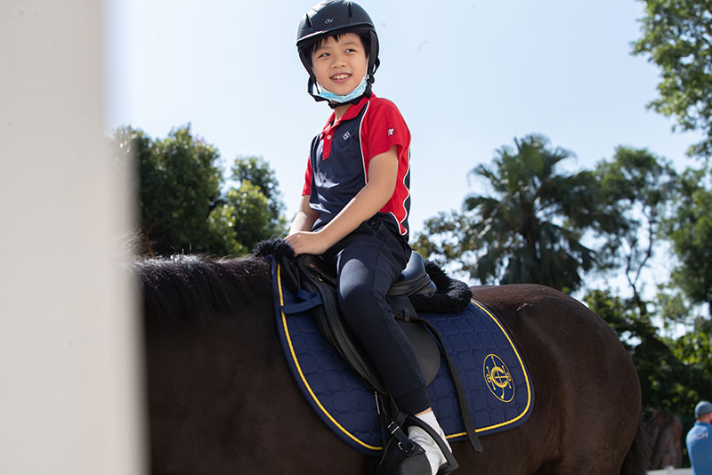 The Riding for the Disabled Association of Hong Kong (RDA Hong Kong) is the only charity that offers free therapeutic riding classes in the city. Since its inception, the association has received support from The Hong Kong Jockey Club. Horseback riding for people with disabilities can help improve their muscle coordination and strengthen their confidence. 