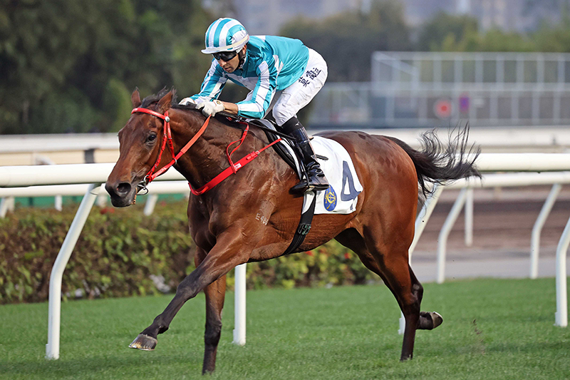 「浪漫勇士」於2021年香港國際馬匹拍賣會中以四百八十萬港元成交。
