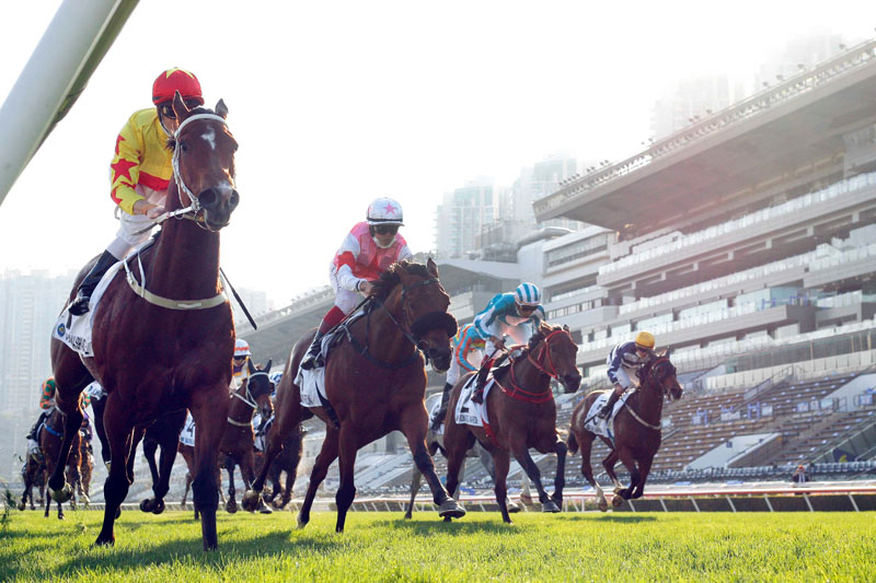 California Spangle wins the Hong Kong Classic Cup (1800m), second leg of the Four-Year-Old Classic Series for trainer Tony Cruz and jockey Zac Purton at Sha Tin Racecourse.