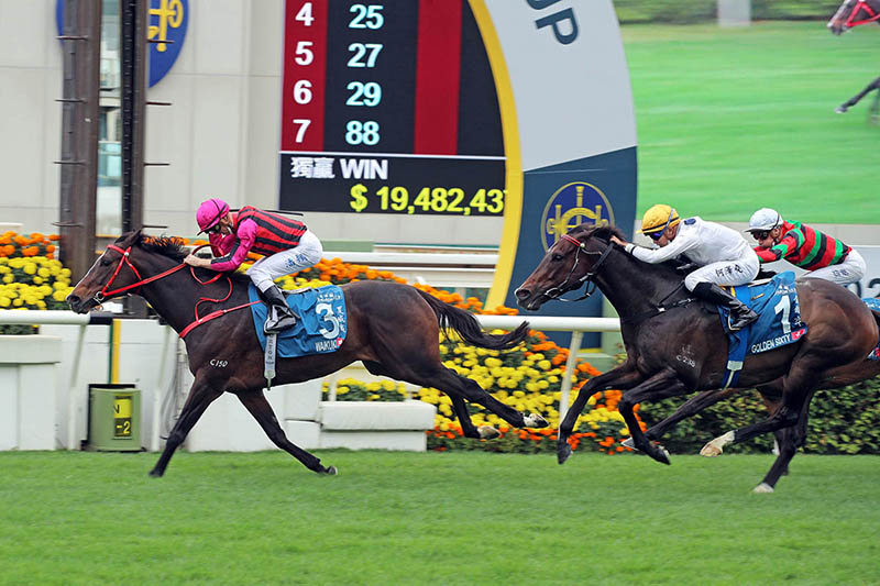 Waikuku downs Golden Sixty in last month’s Stewards’ Cup.