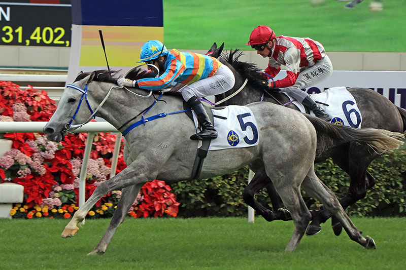 Senor Toba displays strong staying credentials with victory at Sha Tin.