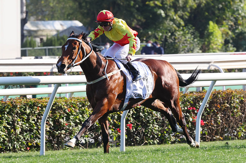 California Spangle is one of the leading contenders in this year’s BMW Hong Kong Derby.