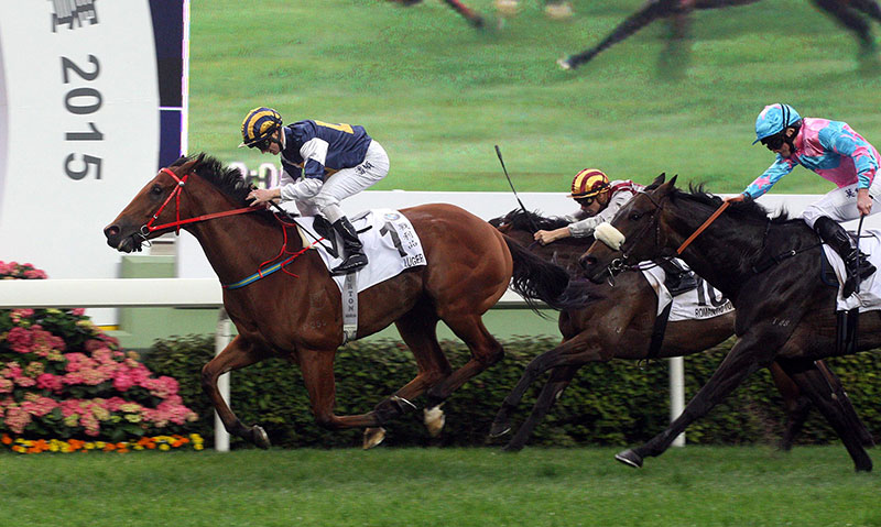 Zac Purton won the 2015 Hong Kong Derby on Luger.