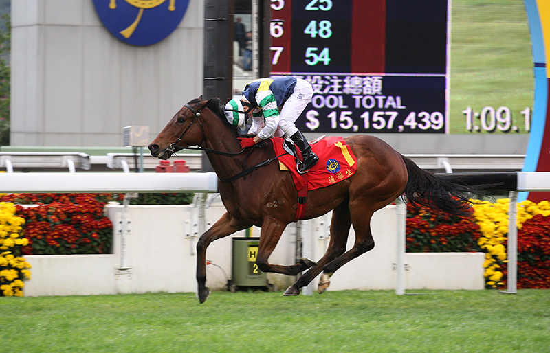 Sacred Kingdom is one of Hong Kong’s finest ever sprinters.
