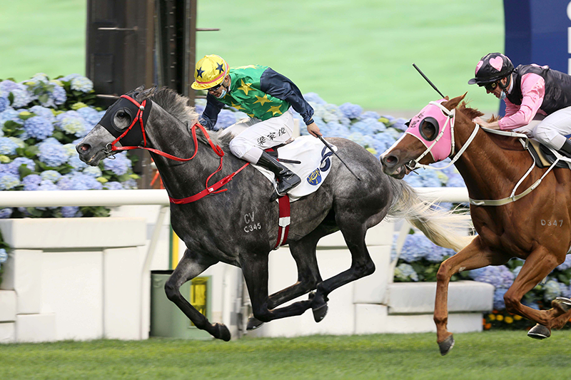 Reliable Team is a seven-time winner in Hong Kong.