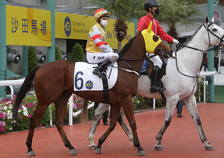 歷屆新馬獎金得主 香港國際馬匹拍賣會22 香港賽馬會