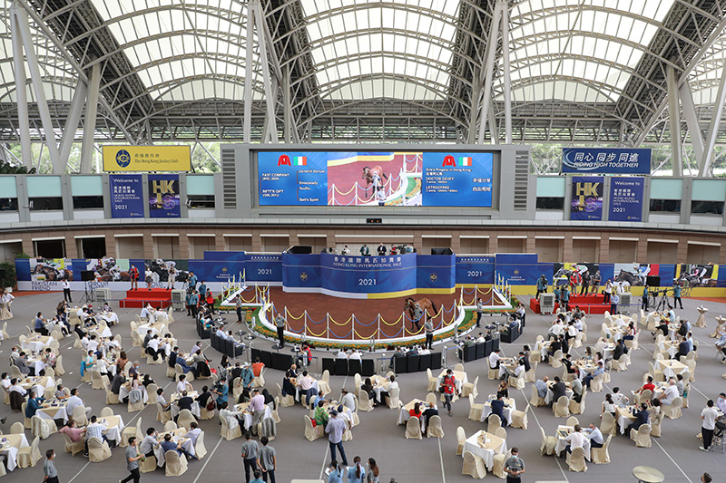 2021香港國際馬匹拍賣會於沙田馬場馬匹亮相圈舉行，共有16匹未曾出賽的新馬供合資格人士競投。