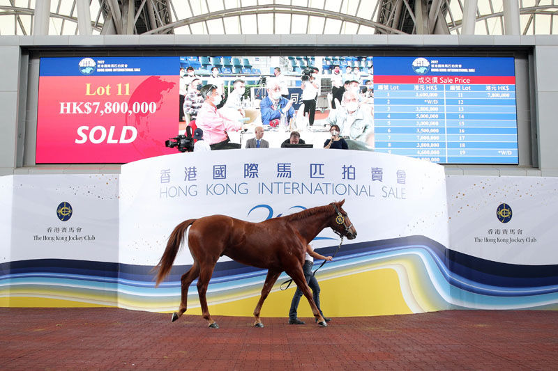 編號11 拍賣馬 (父系「遙遠星空」(Deep Field)，母系 Bousquet )由余潤興以七百八十萬港元投得，為今次拍賣會成交價最高的一駒。