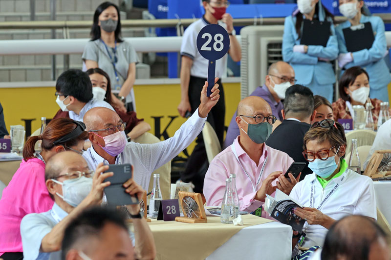 2022香港國際馬匹拍賣會於沙田馬場馬匹亮相圈舉行，共有17匹未曾出賽的新馬供合資格人士競投。