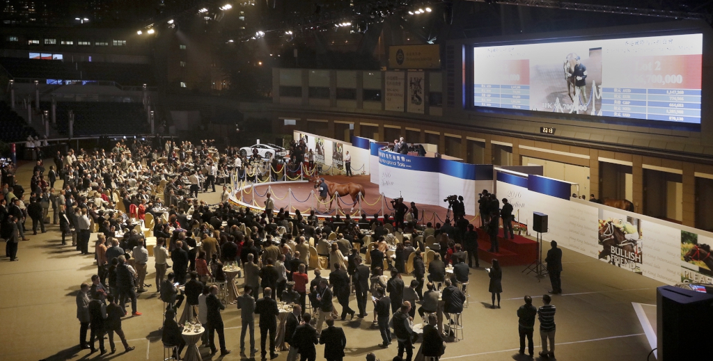 2016香港國際馬匹拍賣會今晚於沙田馬場馬匹亮相圈舉行，共有24匹未曾出賽的新馬供合資格人士競投。