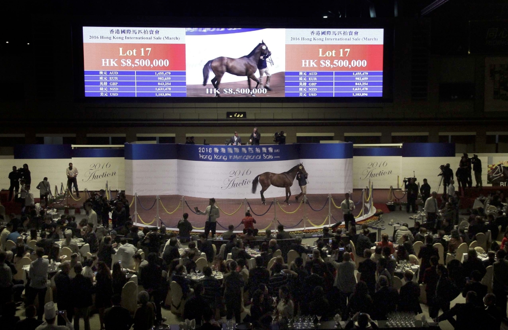 17號拍賣馬（父系「星球爭霸」、母系Top Cuban）由刘玉文之代表以八百五十萬港元投得，為今次拍賣會成交價最高的一駒。