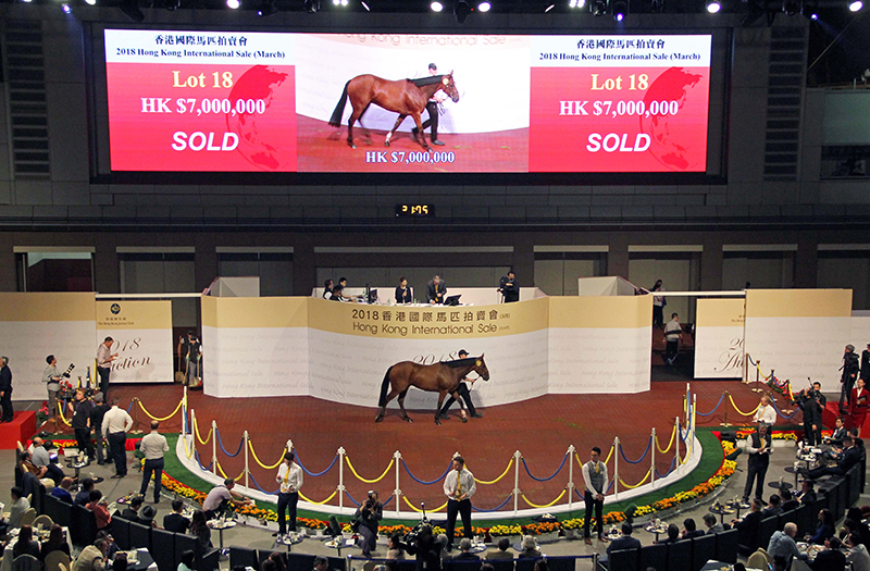 18號拍賣馬（父系Snitzel，母系Good Weekend）由黃士心以七百萬港元投得。