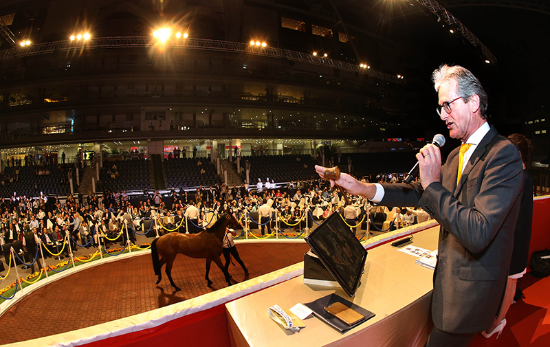 2018香港國際馬匹拍賣會（3月）今晚於沙田馬場馬匹亮相圈舉行，共有26匹未曾出賽的新馬供合資格人士競投。