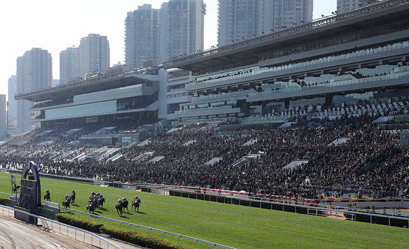 浪琴香港國際賽事廣泛地被譽為「世界草地錦標大賽」。