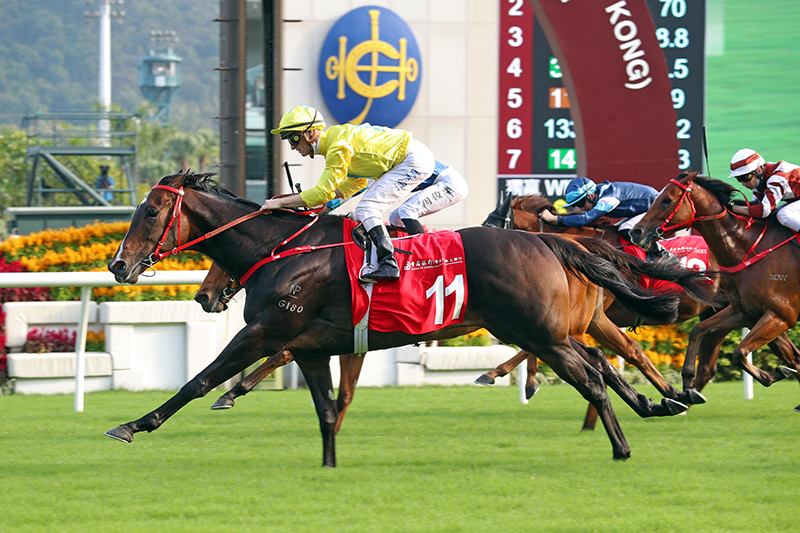 The Manfred Man-trained Lucky Sweynesse, with Zac Purton aboard, takes the G2 BOCHK Private Banking Jockey Club Sprint (1200m) at Sha Tin Racecourse.