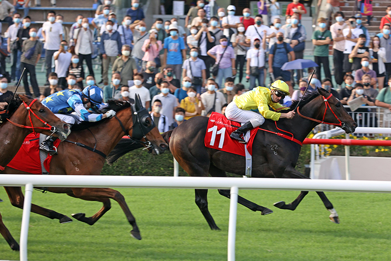 The Manfred Man-trained Lucky Sweynesse, with Zac Purton aboard, takes the G2 BOCHK Private Banking Jockey Club Sprint (1200m) at Sha Tin Racecourse.