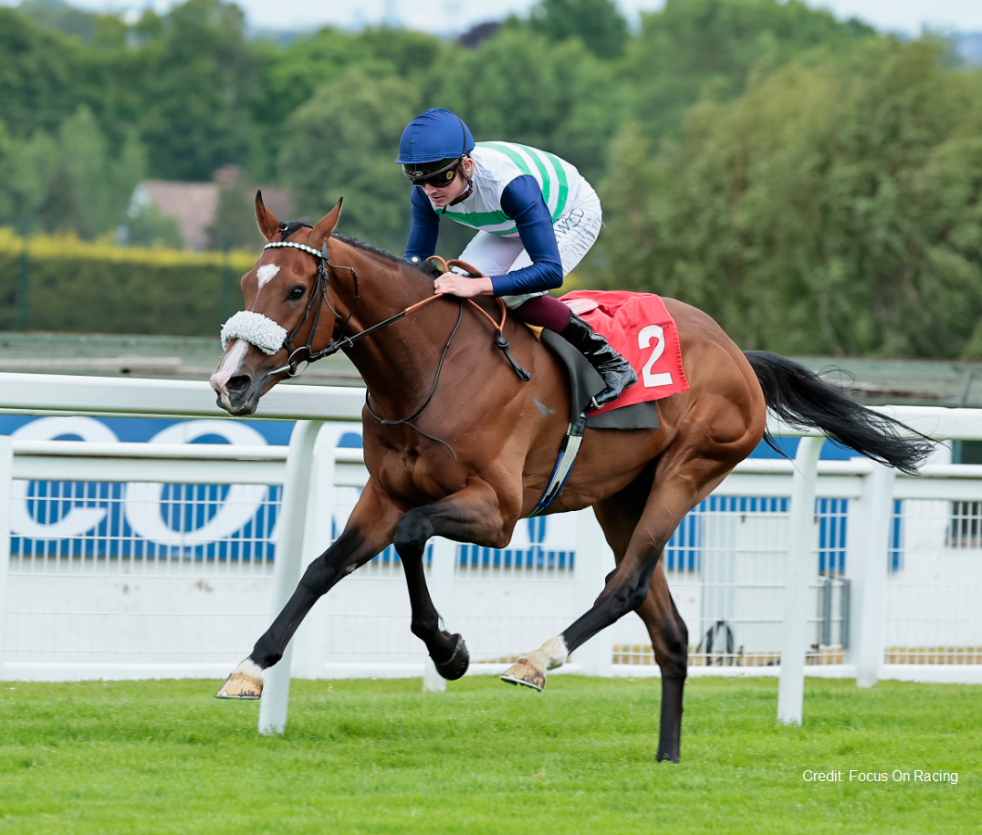 Key Contenders This Year - Royal Ascot - The Hong Kong Jockey Club