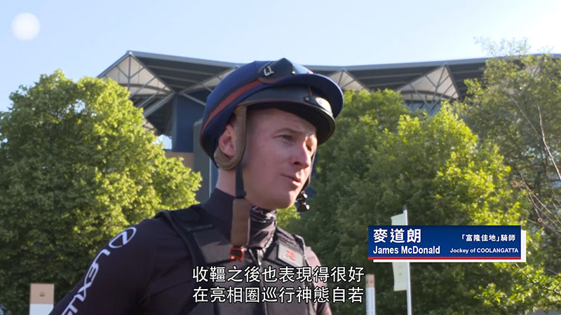 hkjc simulcast