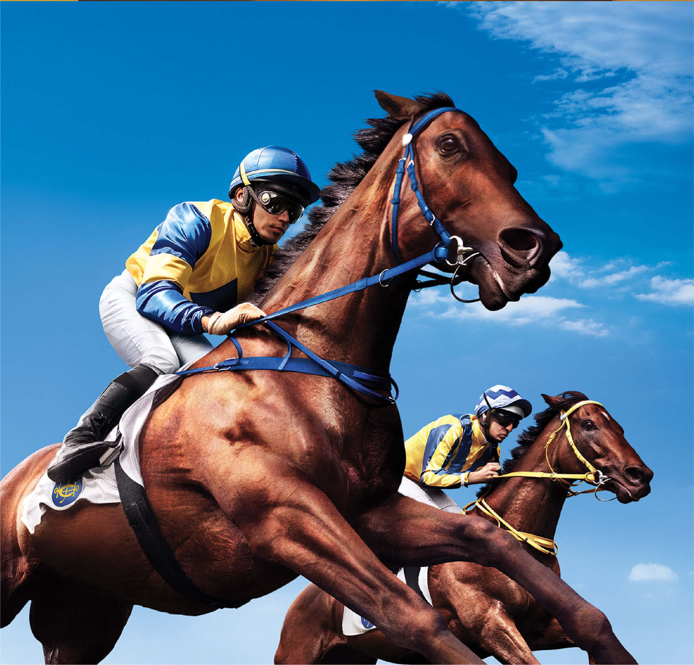 Horse Racing Jockey Sport Wallpaper Wall Mural