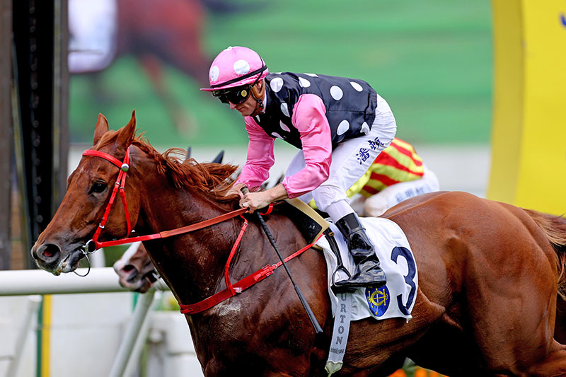 Beauty Eternal on path to LONGINES Hong Kong International Races with ...