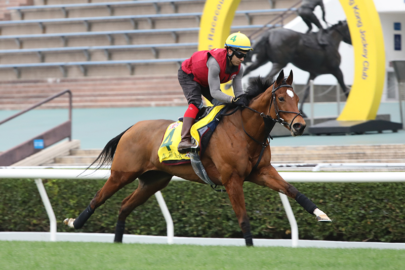 20231206 – Trackwork – LONGINES Hong Kong Sprint - LONGINES Hong Kong ...