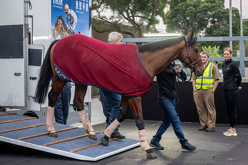 Irish contenders arrive for LONGINES Hong Kong International Races