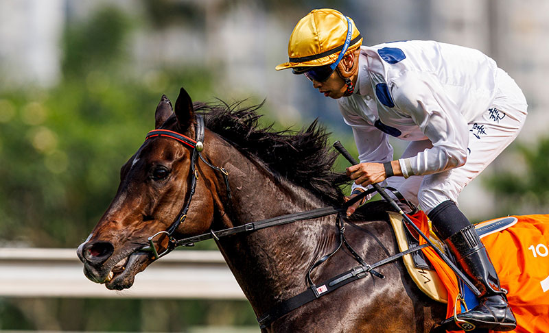 「金鎗六十」為香港賽馬史上最出色的賽駒之一。