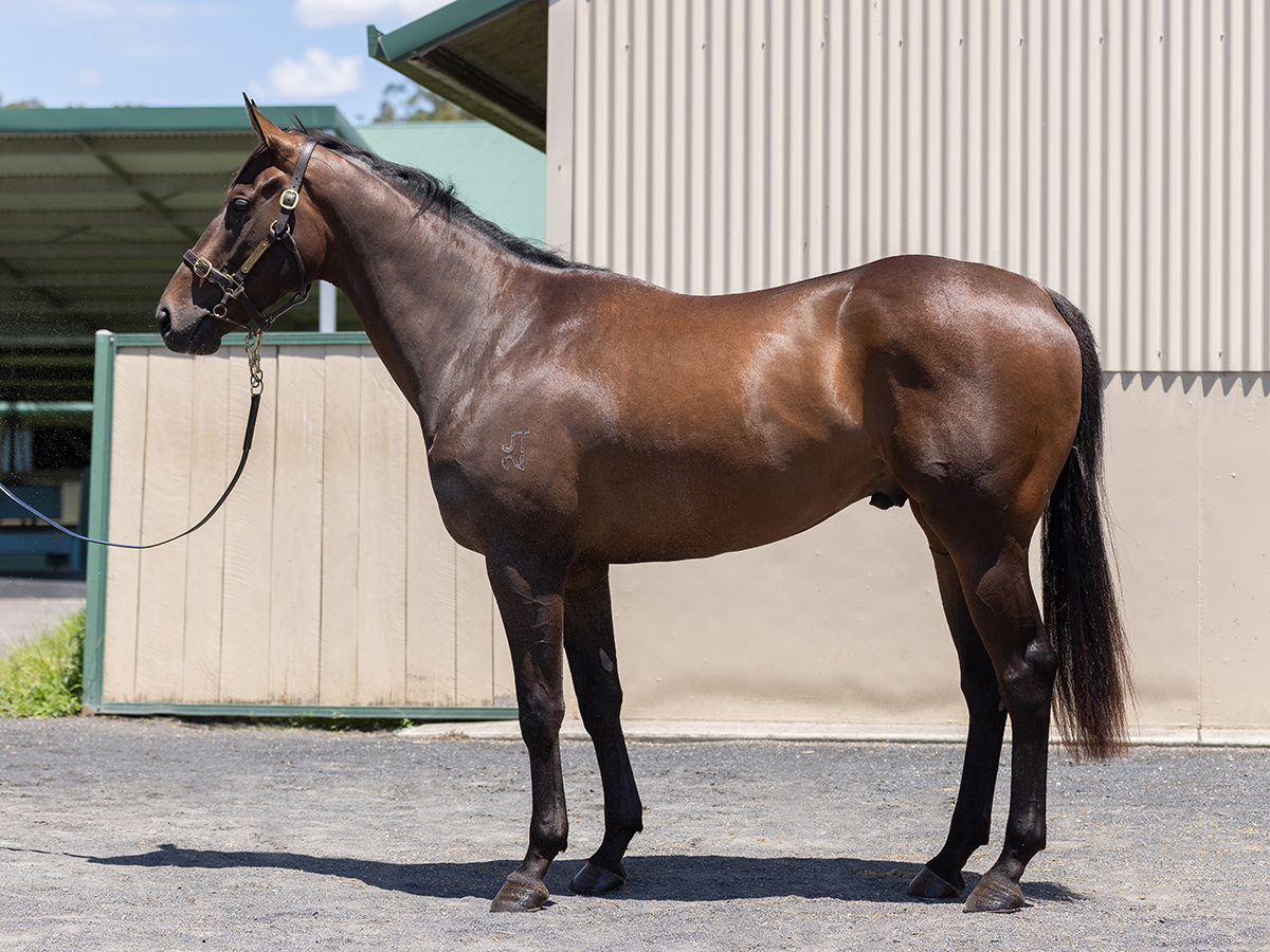 Index of Lots - Hong Kong International Sale 2024 - The Hong