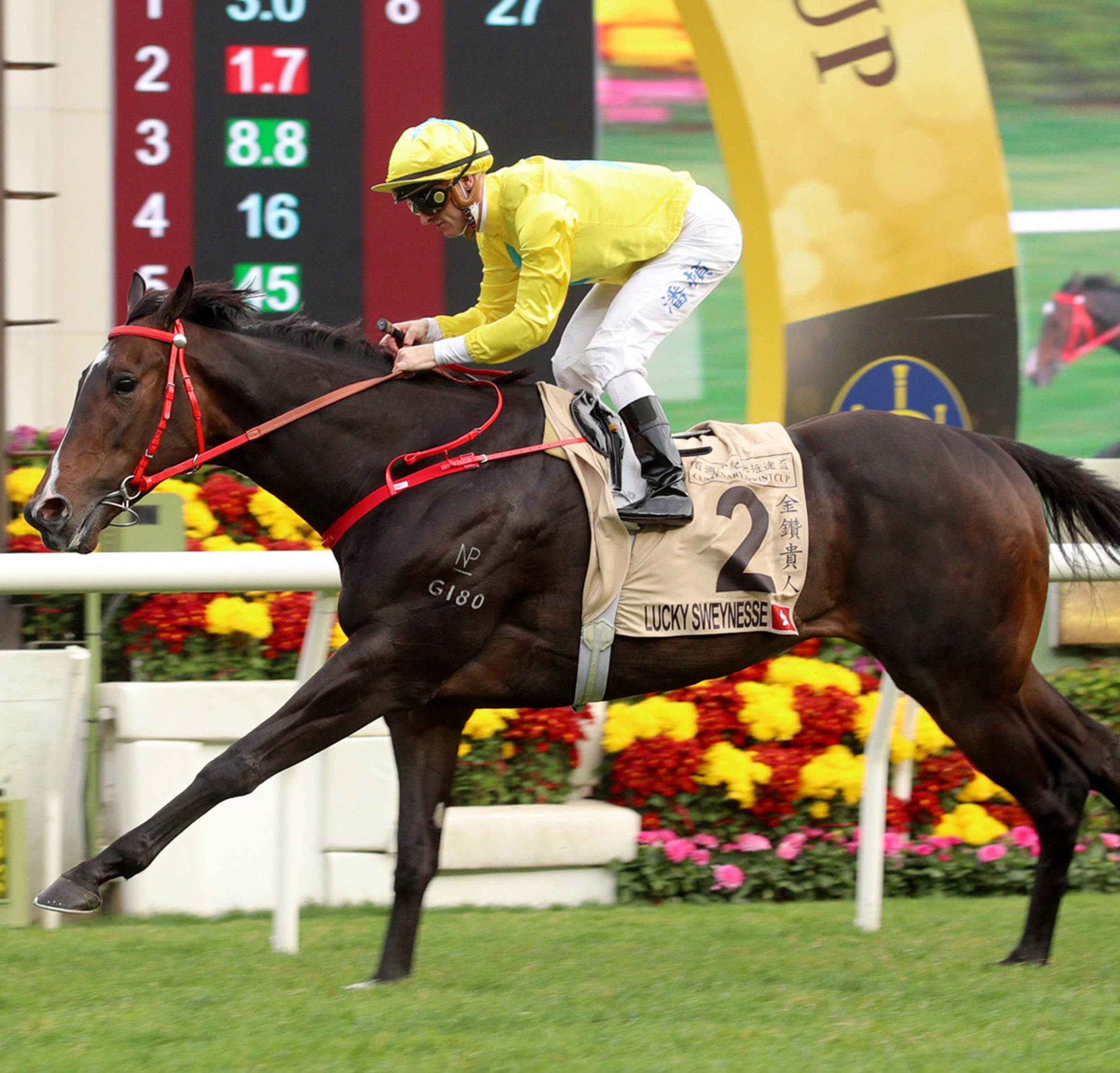 Home - Centenary Sprint Cup 2024 - The Hong Kong Jockey Club