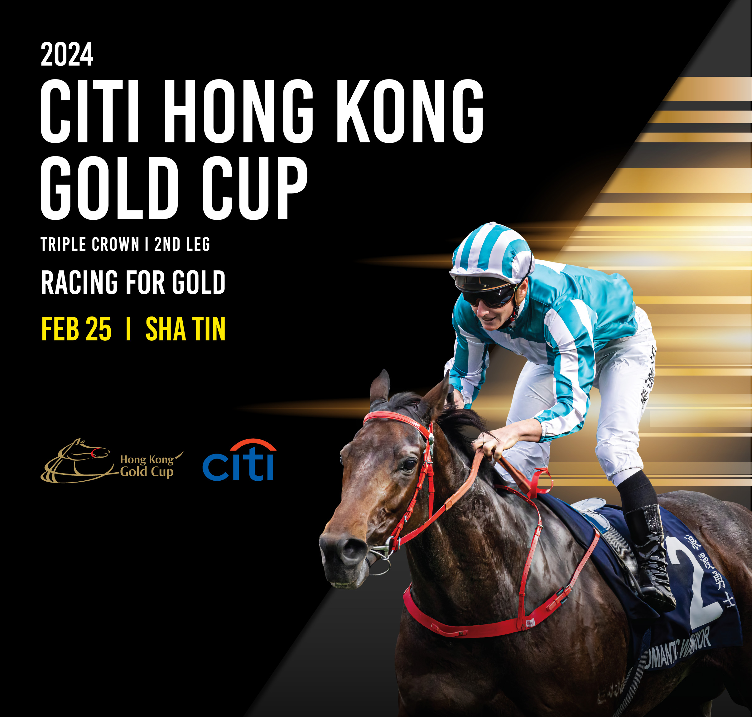 Picture of Hong Kong Gold Cup