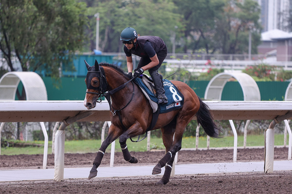 20240422 – Trackwork – FWD QEII Cup - FWD Champions Day 2024 - The Hong ...