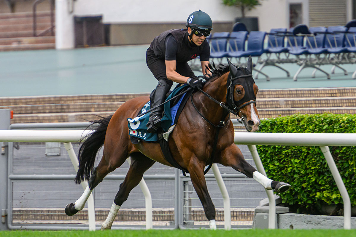 20240424 – Trackwork – FWD QEII Cup - FWD Champions Day 2024 - The Hong ...