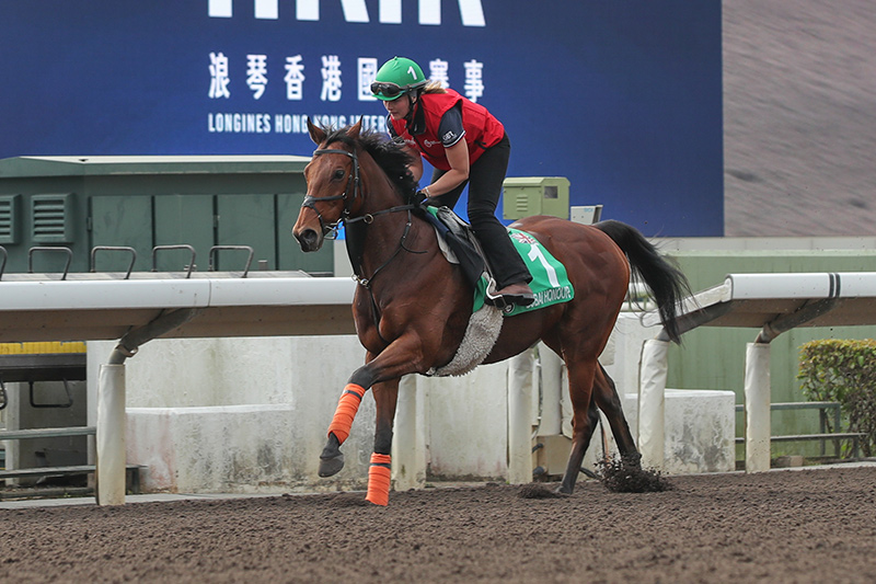 「美品！」Champion Jockey Special! USED Wii Champion Jockey: Gallop Racer & GI Jockey 37757