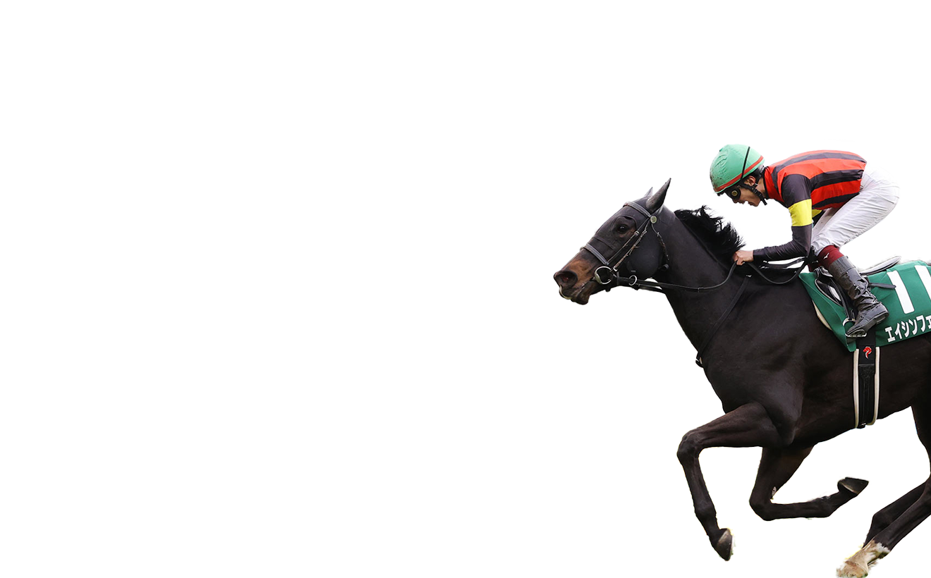 【超ポイントバック祭】 – Contenders Chairman's Day Champions FWD - Prize Sprint 趣味・スポーツ・実用
