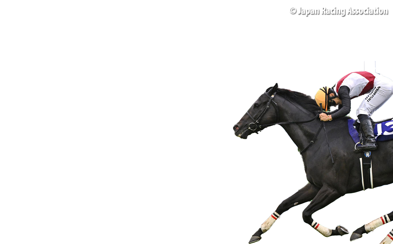 Contenders – Chairman's Sprint Prize - FWD Champions Day