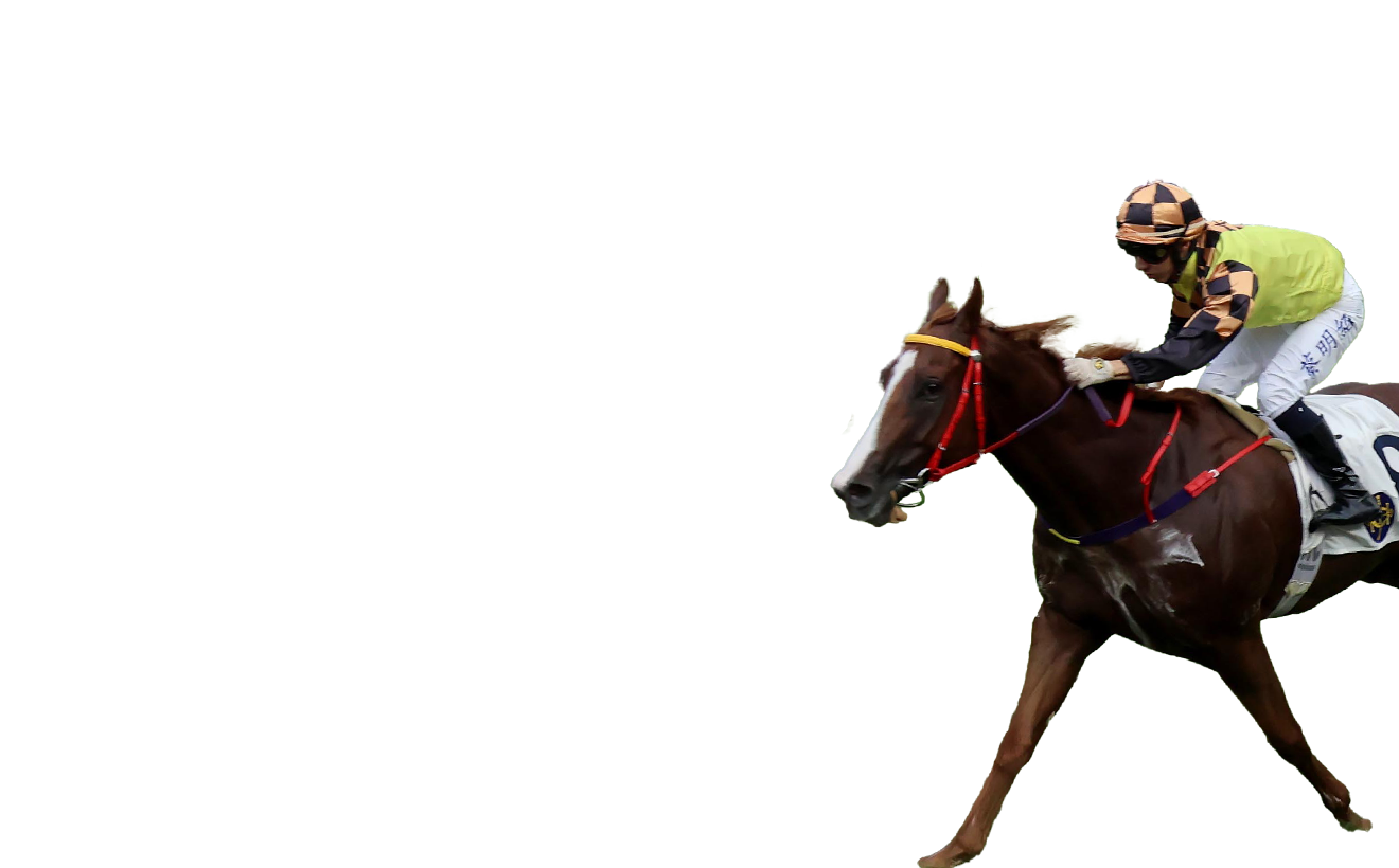 Contenders – Chairman's Sprint Prize - FWD Champions Day