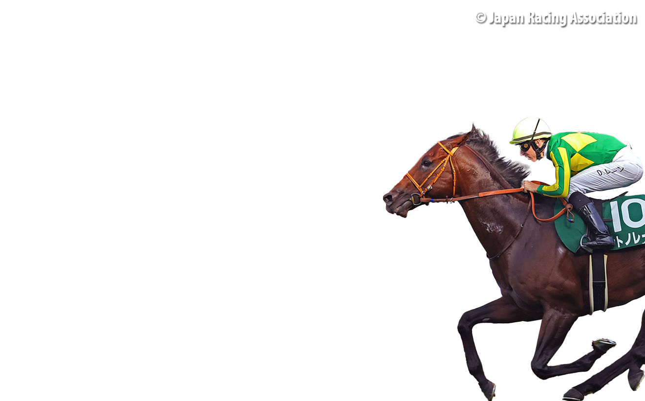 Contenders – Chairman's Sprint Prize - FWD Champions Day