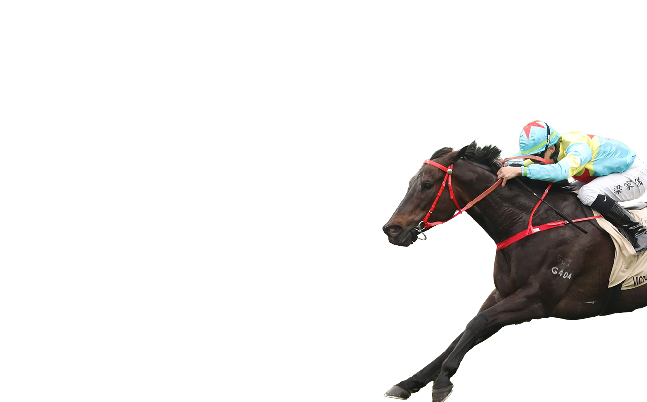 Contenders – Chairman's Sprint Prize - FWD Champions Day