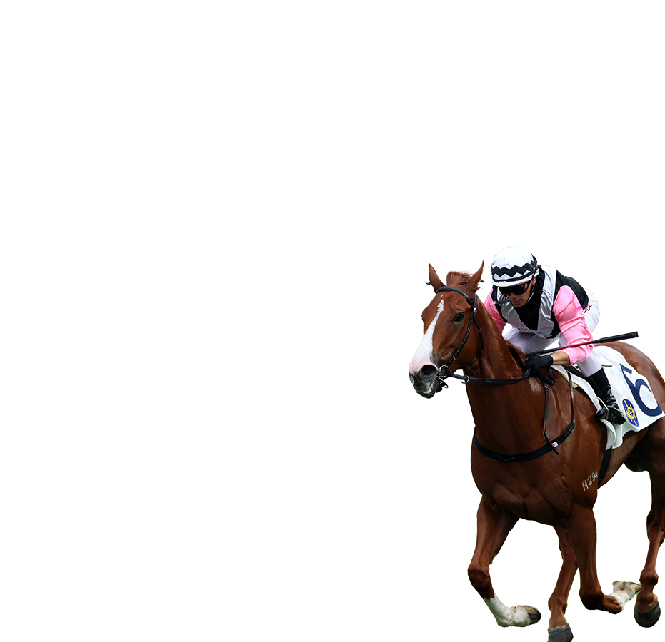 Contenders – Chairman's Sprint Prize - FWD Champions Day