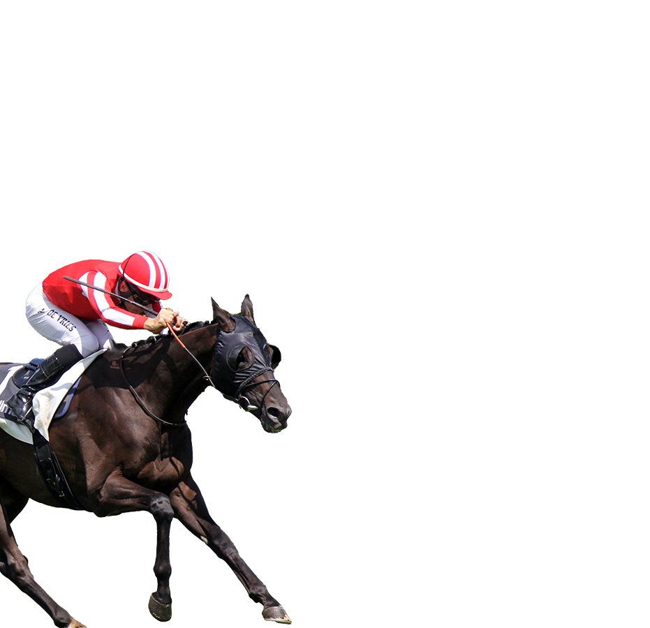 參賽馬匹– 富衛保險女皇盃- 富衛保險冠軍賽馬日2025 - 香港賽馬會